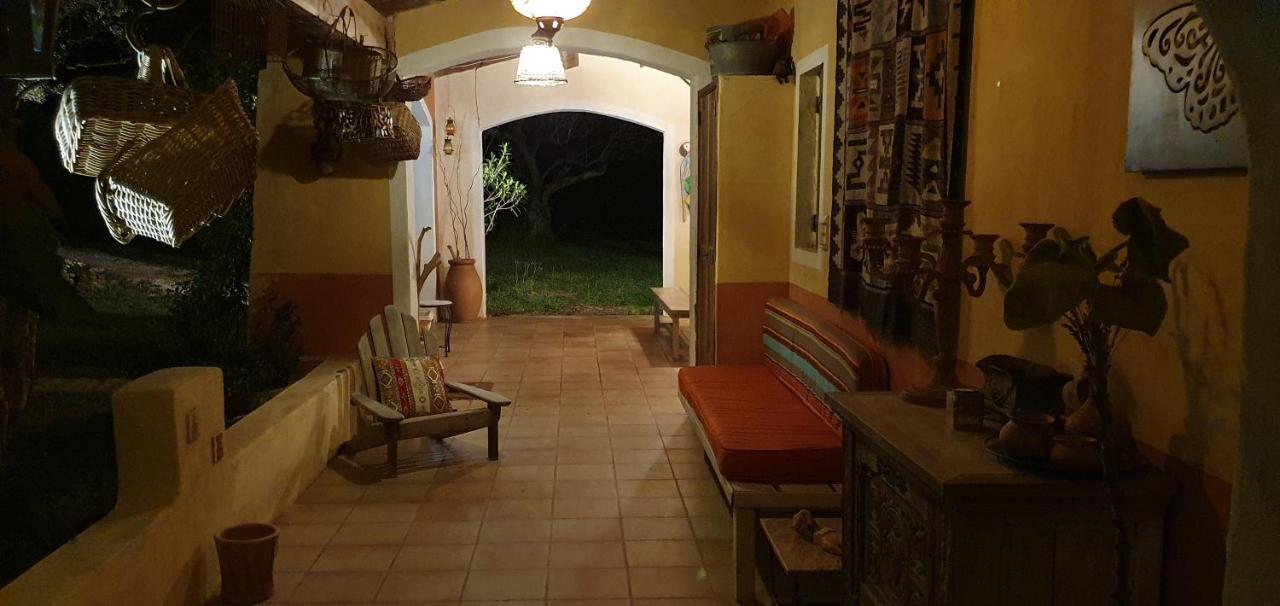 Le Mas Des Oliviers Puget-Ville Bagian luar foto