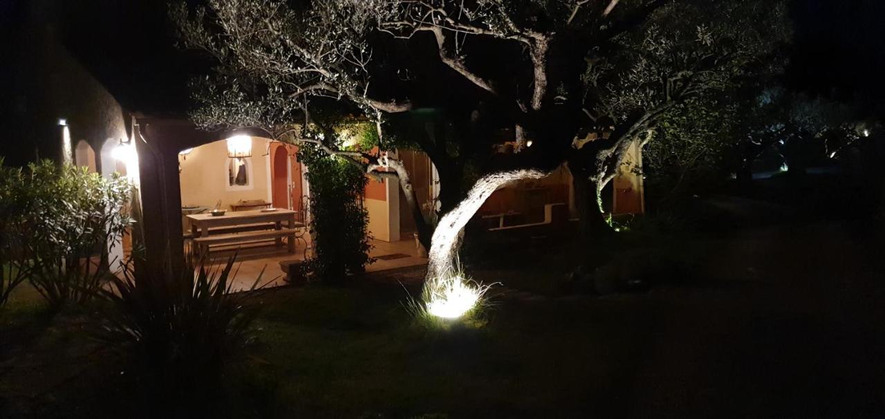 Le Mas Des Oliviers Puget-Ville Bagian luar foto